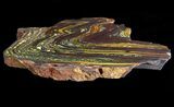 Polished Tiger Iron Stromatolite - ( Billion Years) #64016-2